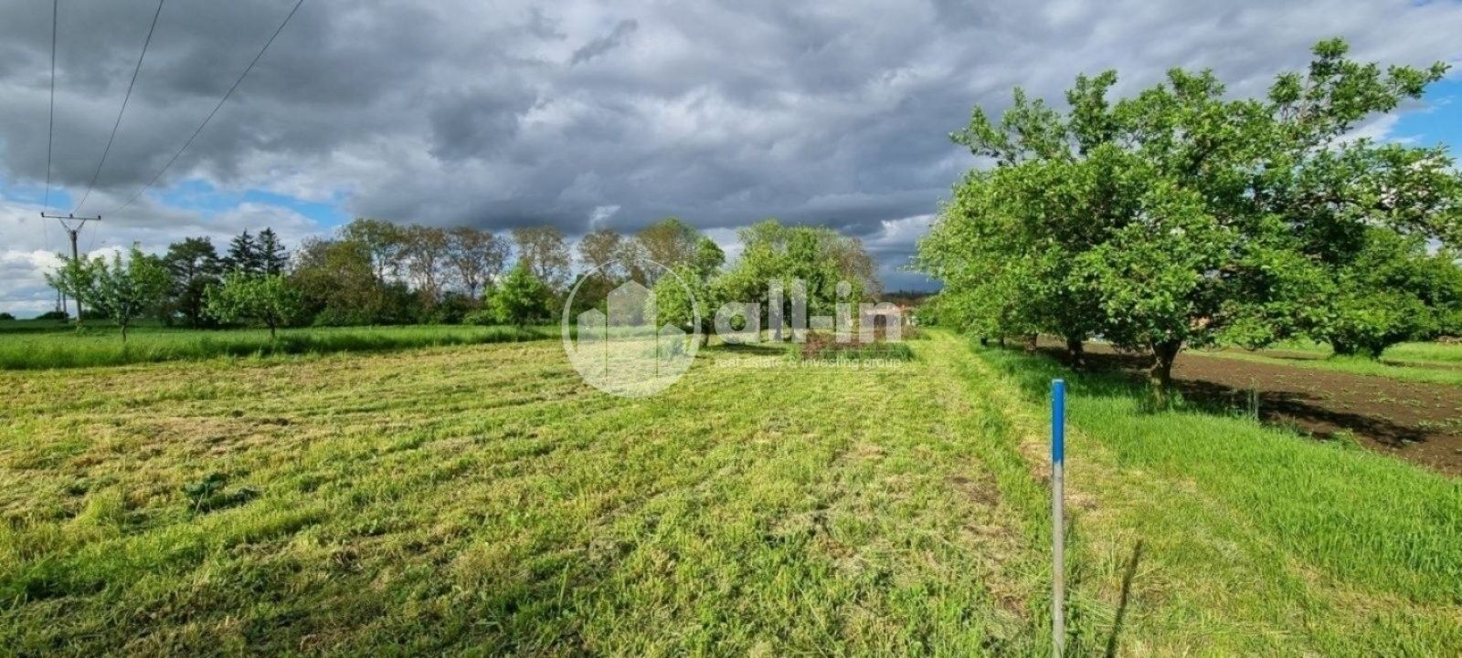 Prodej nemovitosti 1062 m² - foto 5