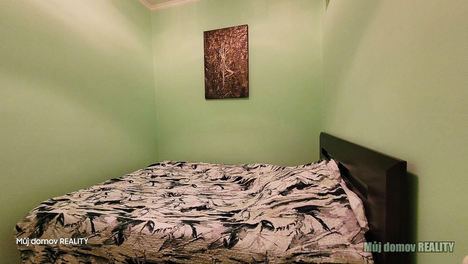 Pronájem bytu 3+kk 55 m² - foto 11