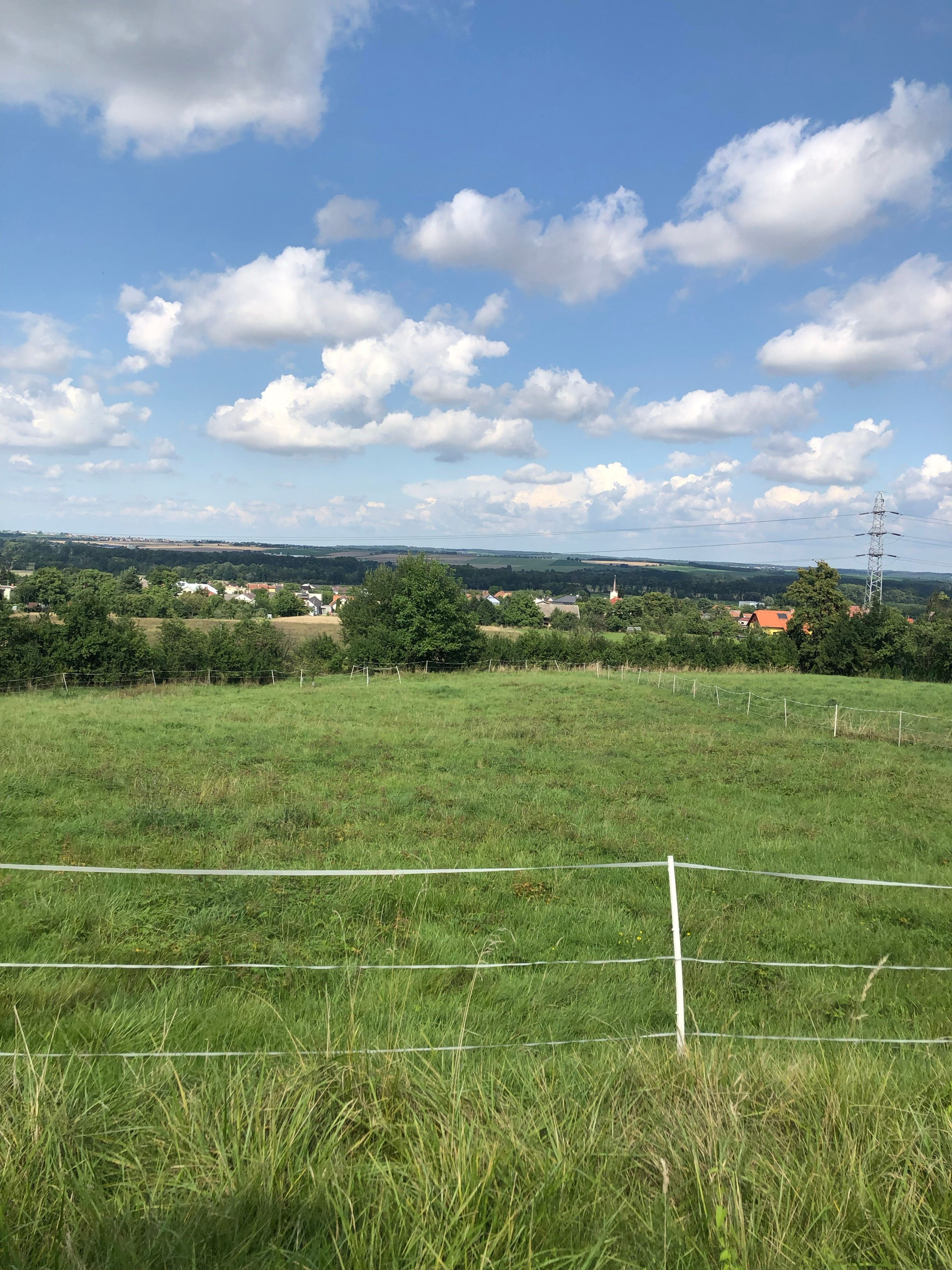 Prodej pozemku 1700 m² - foto 1