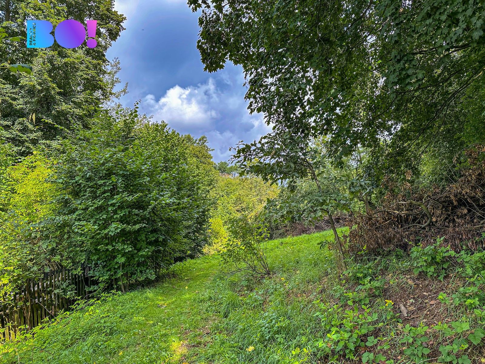 Prodej pozemku 3959 m² - foto 10