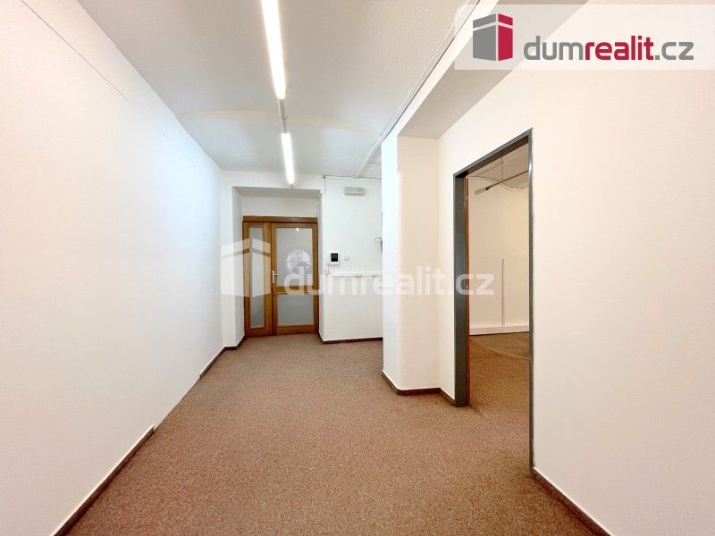 Pronájem komerčního prostoru 24 m² - foto 14