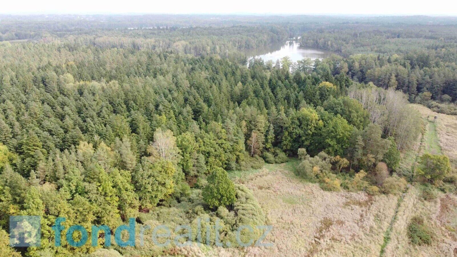Prodej nemovitosti 6582 m² - foto 2