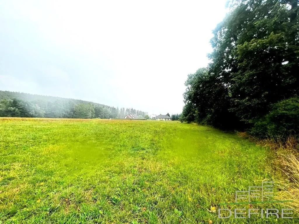 Prodej pozemku 3400 m² - foto 4