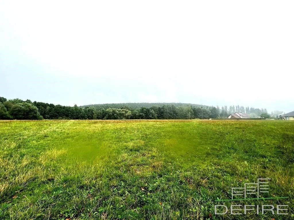Prodej pozemku 3400 m² - foto 9