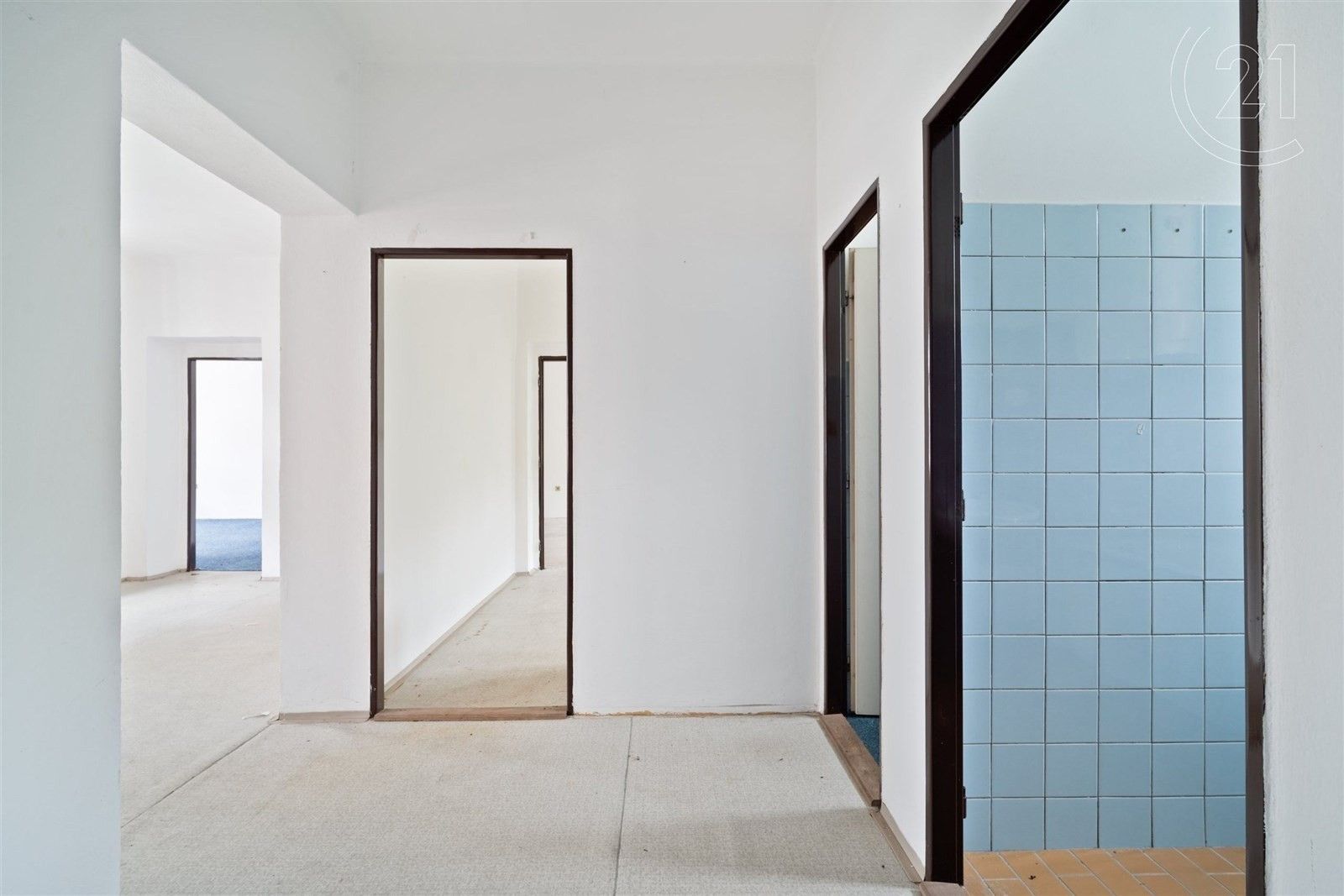 Prodej domu 375 m² - foto 5
