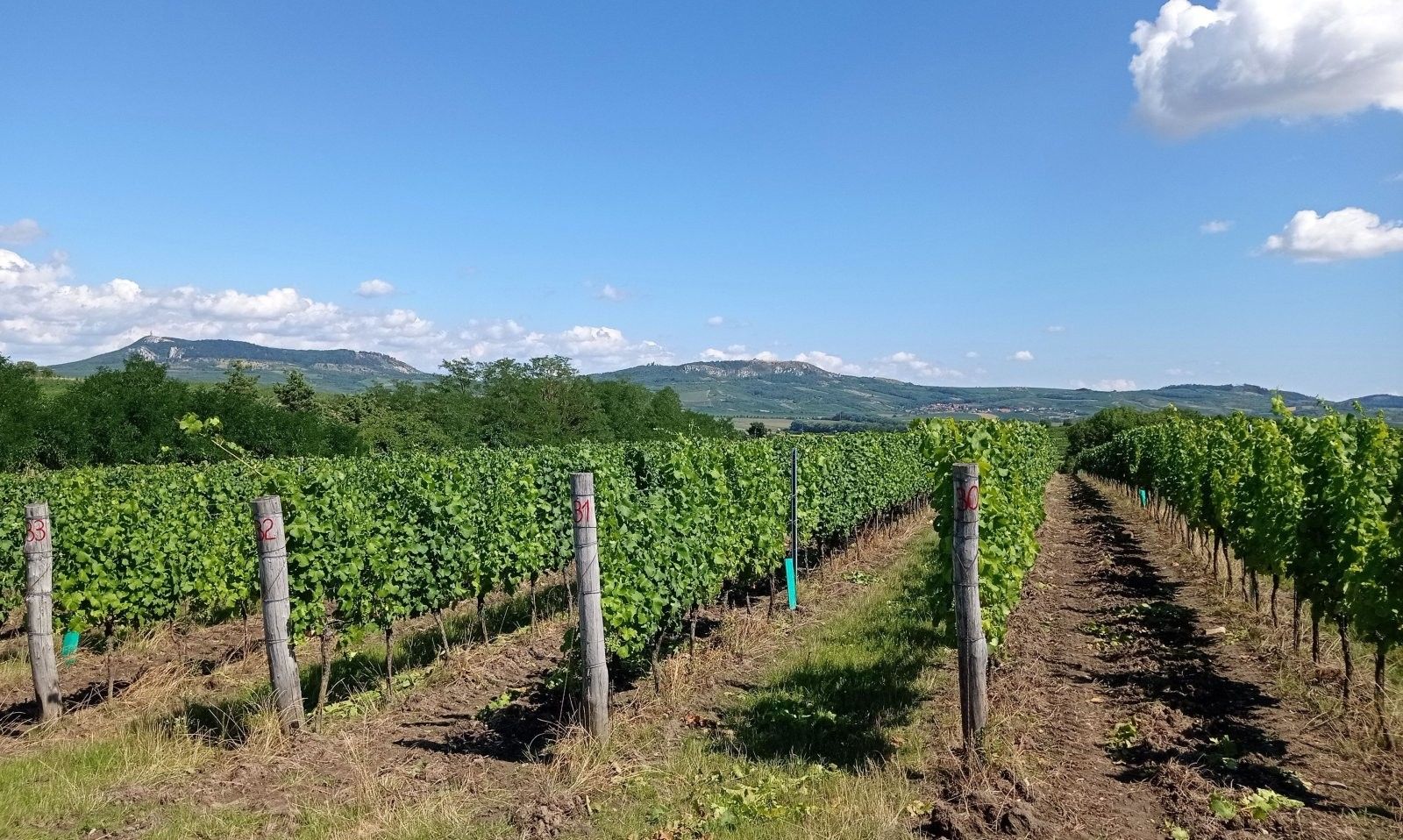 Prodej nemovitosti 90769 m² - foto 11