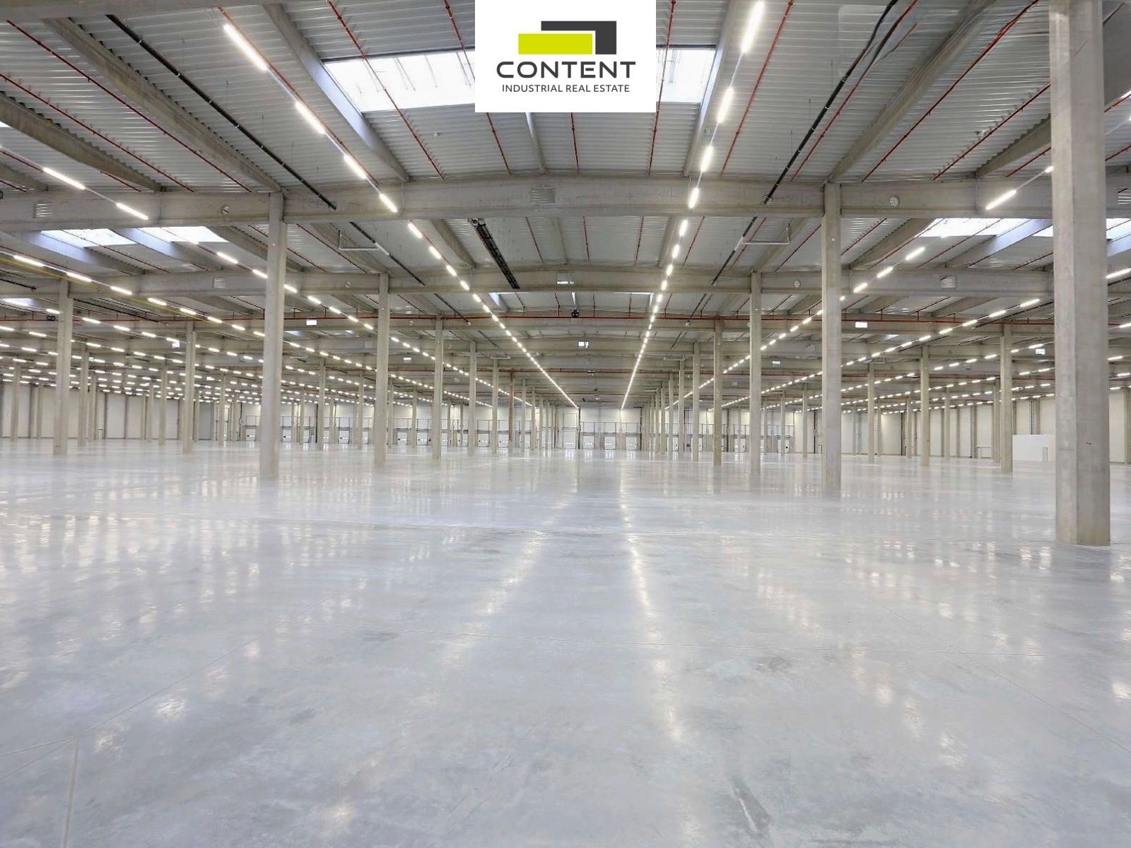 Pronájem komerčního prostoru 5000 m² - foto 5