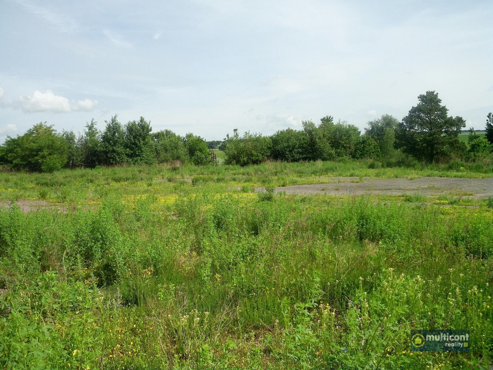 Prodej pozemku 16208 m² - foto 10