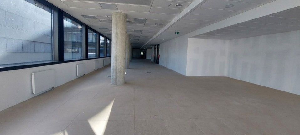 Pronájem komerčního prostoru 307 m² - foto 5