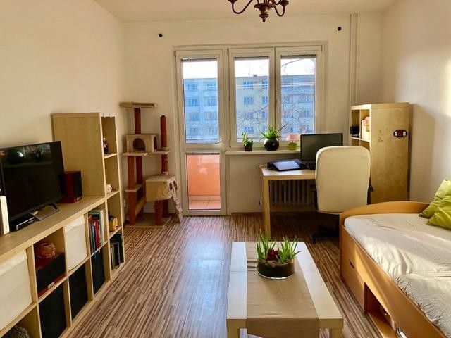 Pronájem bytu 2+1 54 m² - foto 5