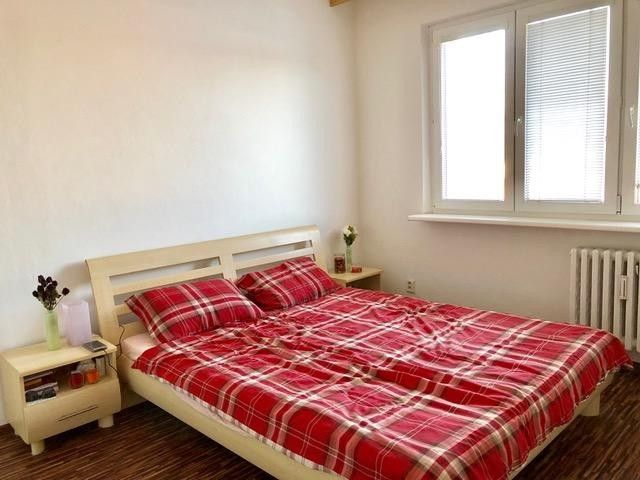 Pronájem bytu 2+1 54 m² - foto 10