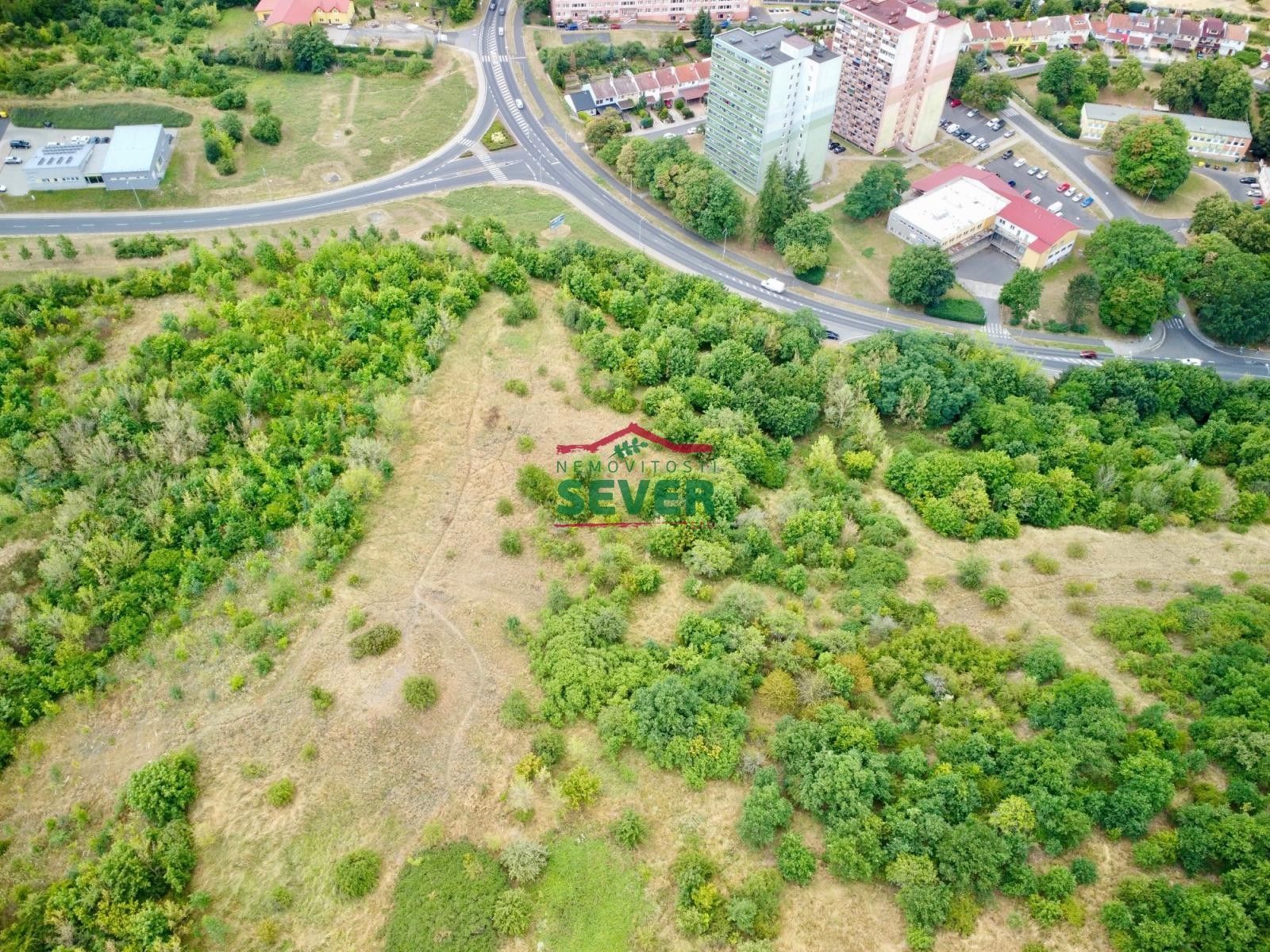 Prodej pozemku 9139 m² - foto 4