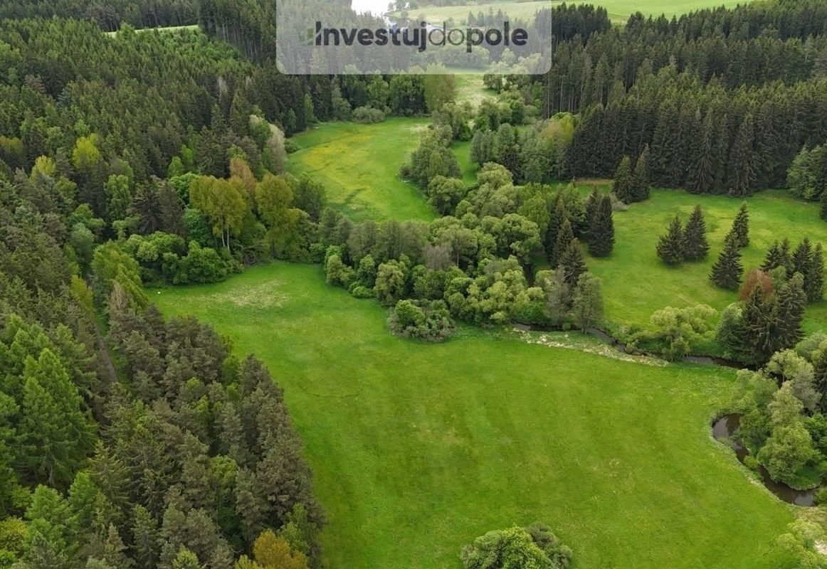 Prodej pozemku 19467 m² - foto 4