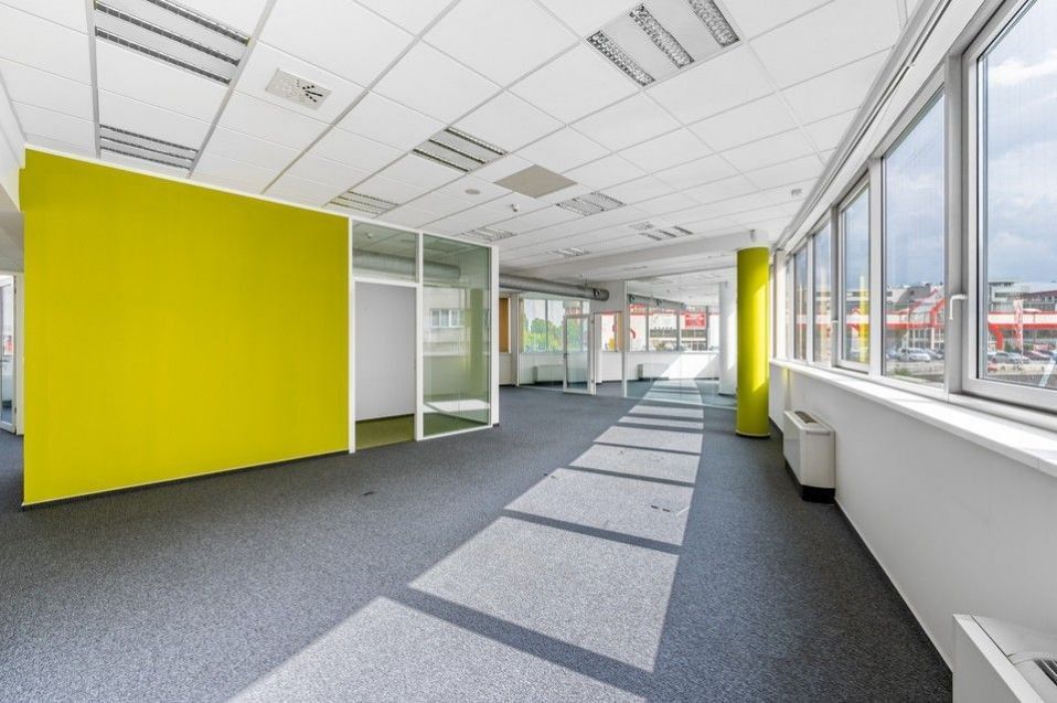 Pronájem komerčního prostoru 974 m² - foto 4