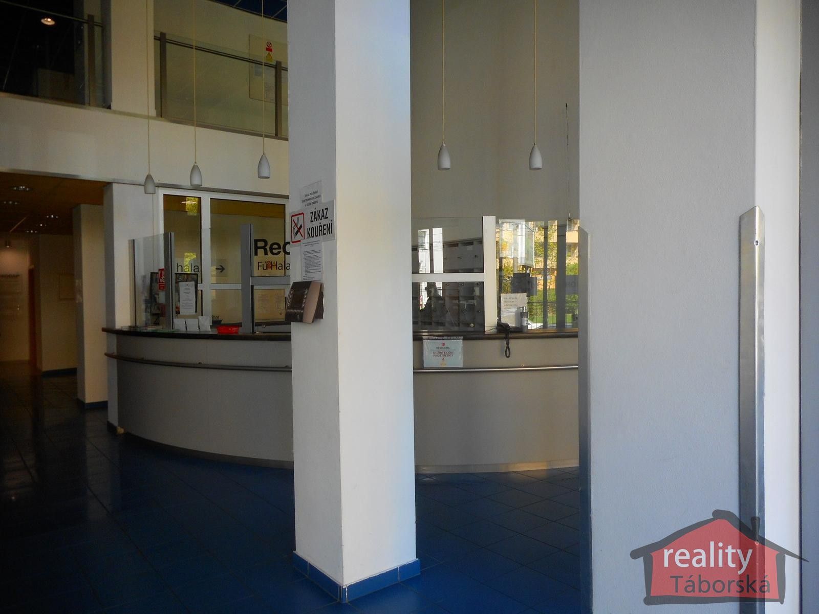 Pronájem komerčního prostoru 262 m² - foto 4