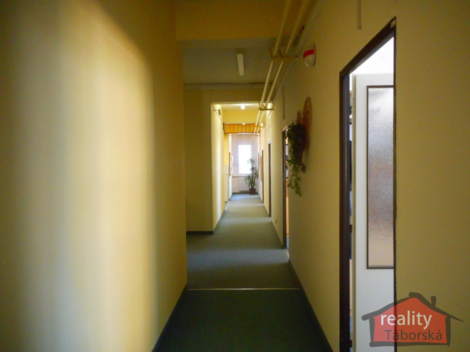 Pronájem komerčního prostoru 262 m² - foto 9