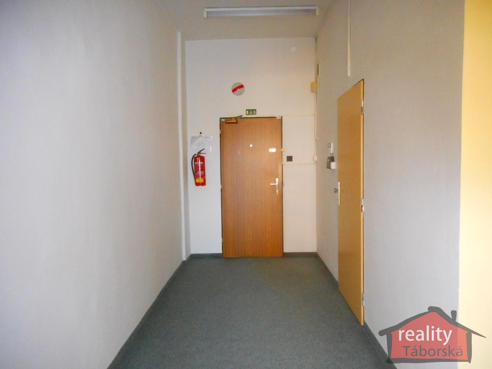 Pronájem komerčního prostoru 262 m² - foto 15