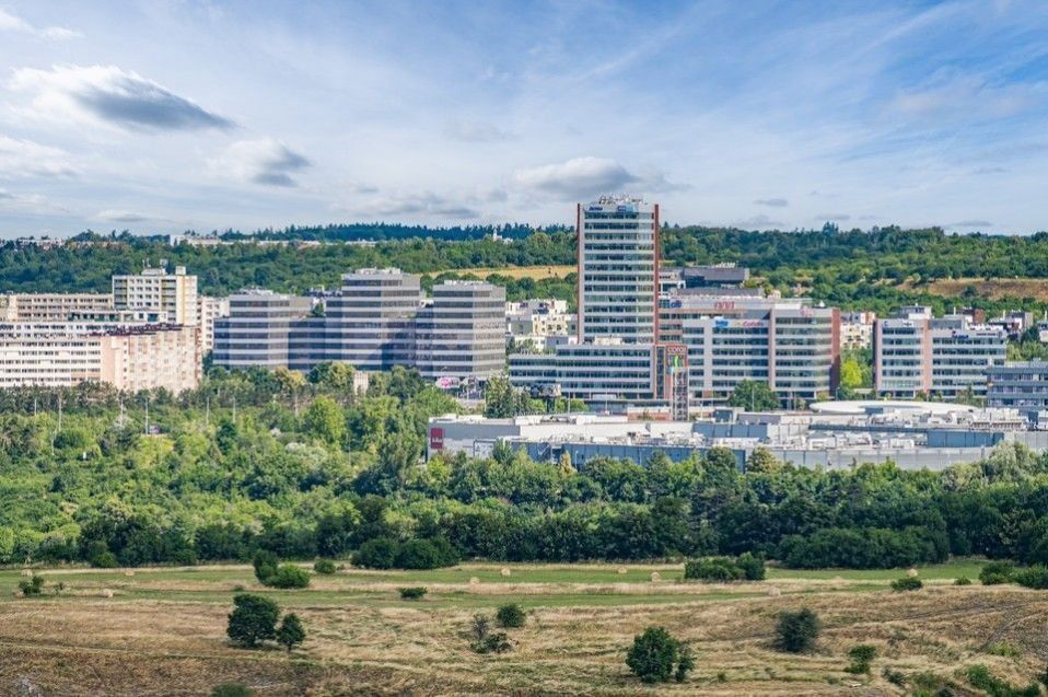 Pronájem komerčního prostoru 487 m² - foto 2