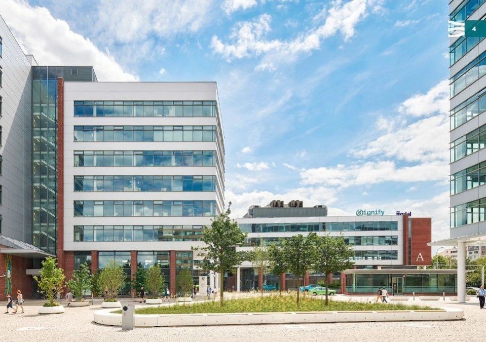 Pronájem komerčního prostoru 487 m² - foto 3