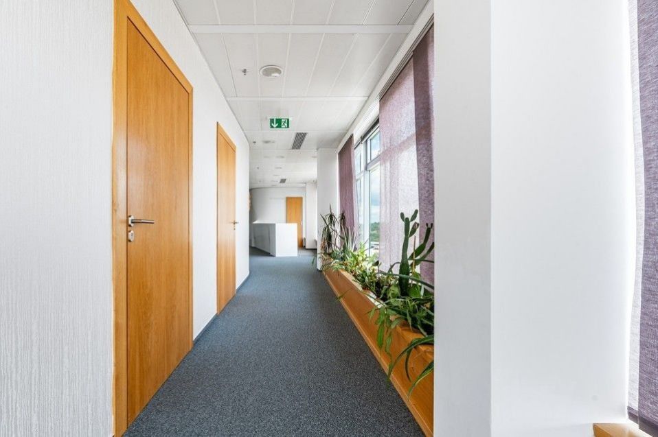 Pronájem komerčního prostoru 280 m² - foto 7