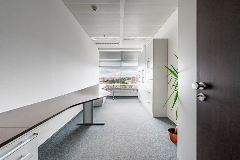 Pronájem komerčního prostoru 280 m² - foto 13