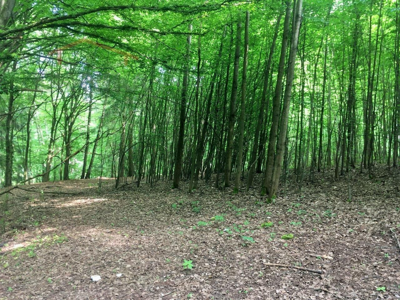 Prodej domu 180 m² - foto 11