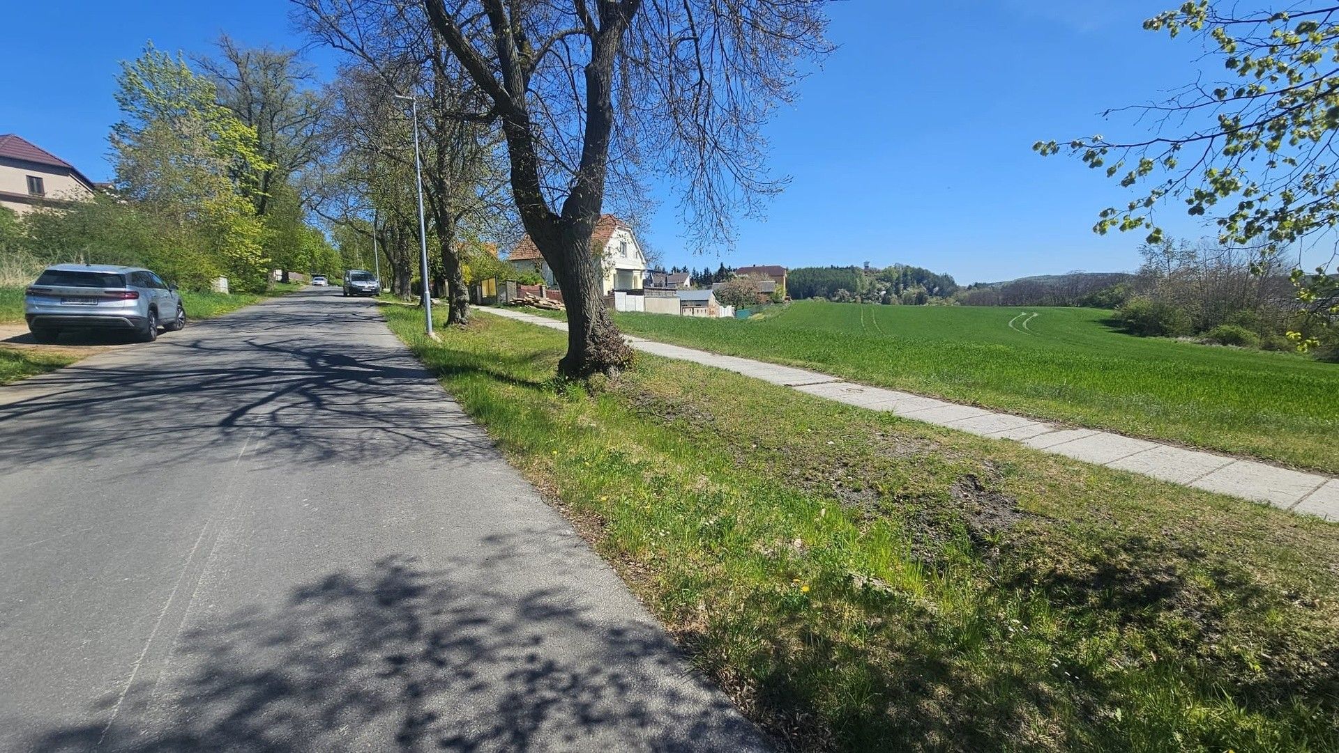 Prodej pozemku 12266 m² - foto 5