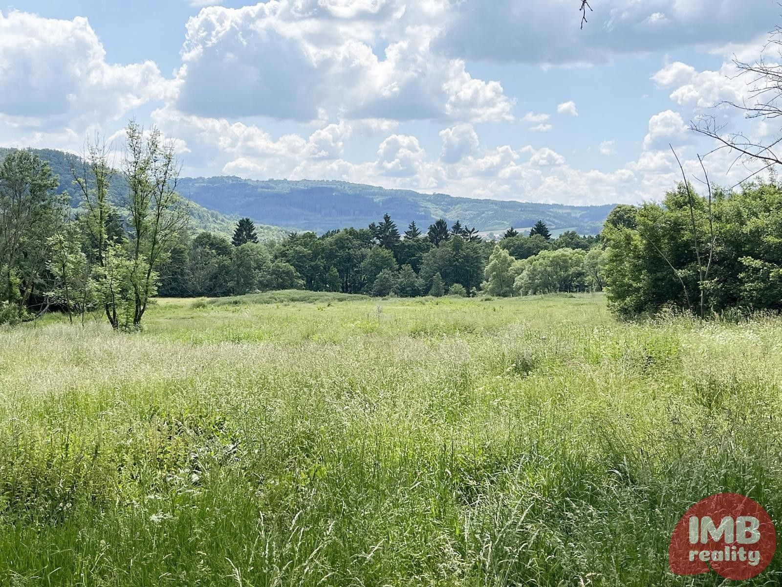 Prodej pozemku 3628 m² - foto 4
