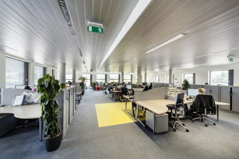 Pronájem komerčního prostoru 539 m² - foto 3