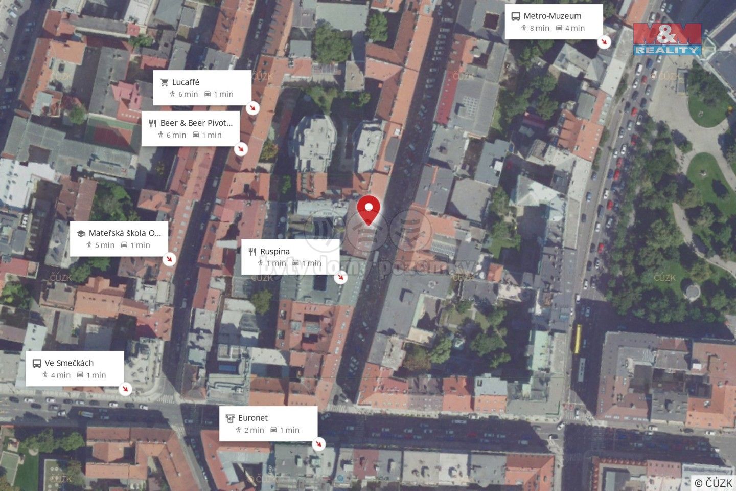 Pronájem komerčního prostoru 300 m² - foto 6