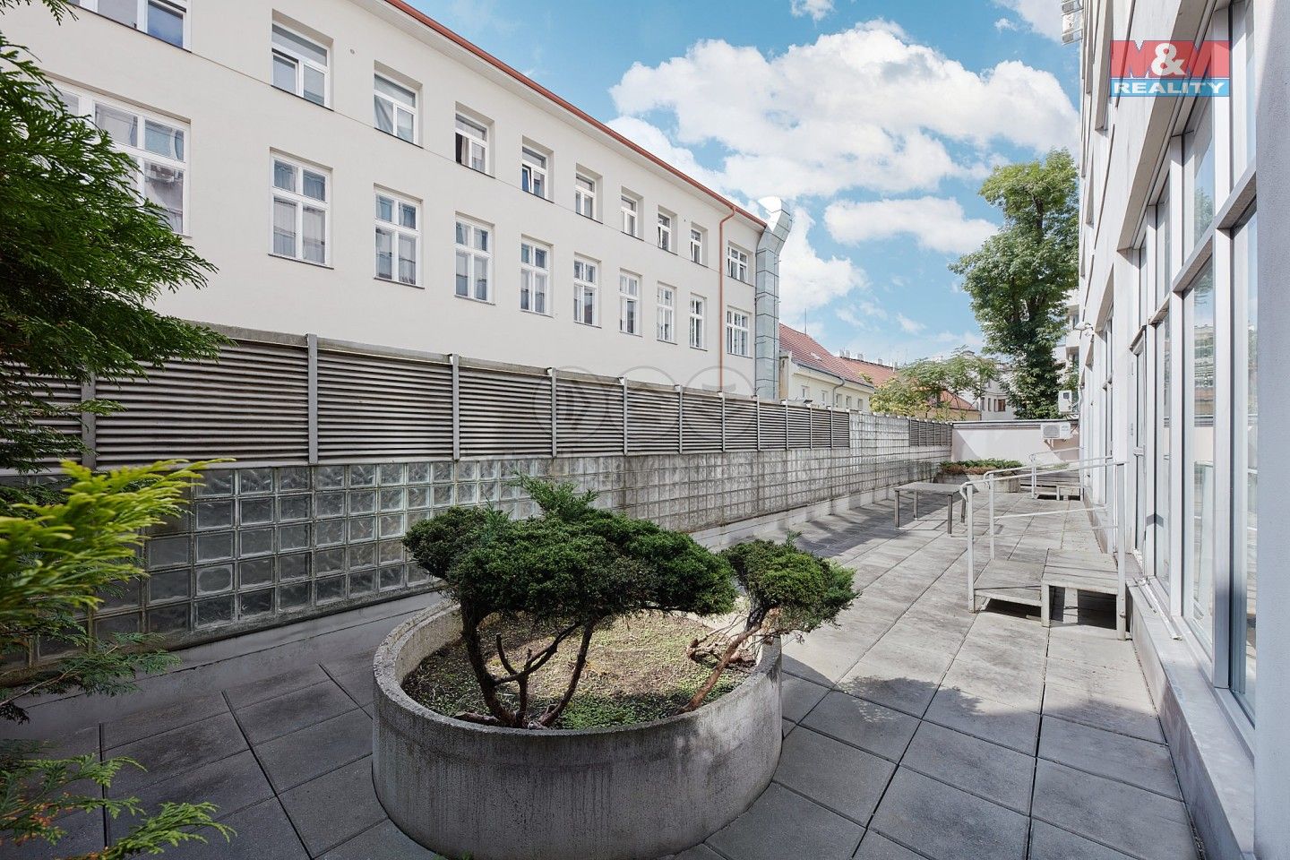 Pronájem komerčního prostoru 300 m² - foto 5