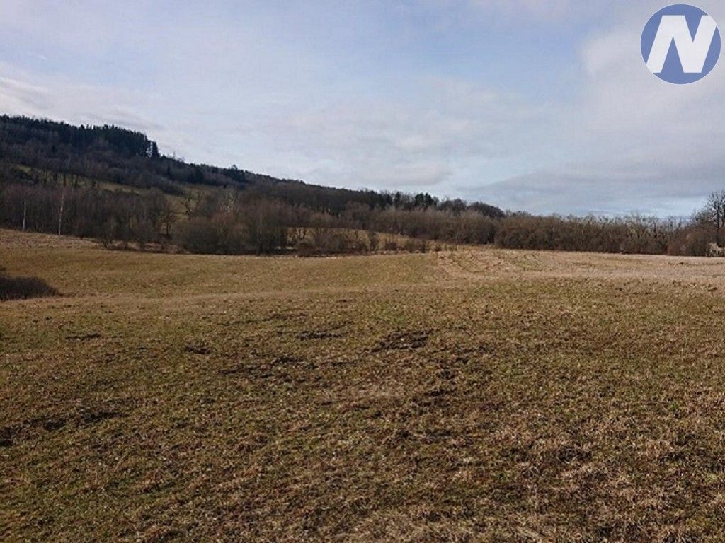 Prodej nemovitosti 2556 m² - foto 4