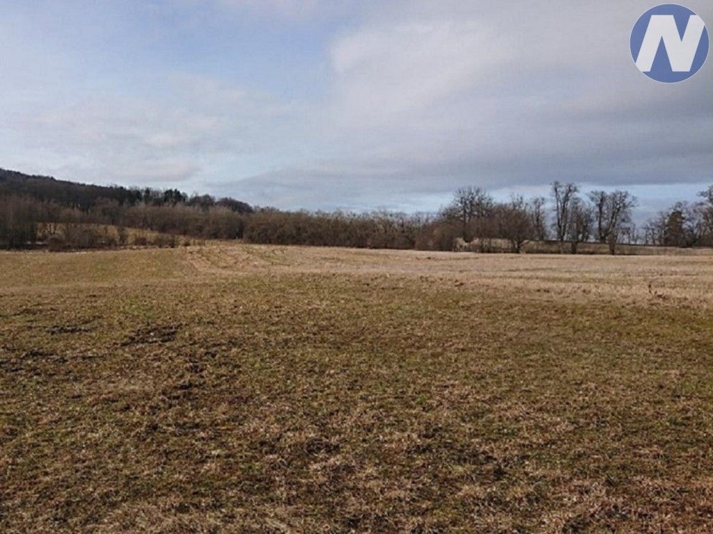 Prodej nemovitosti 2556 m² - foto 5