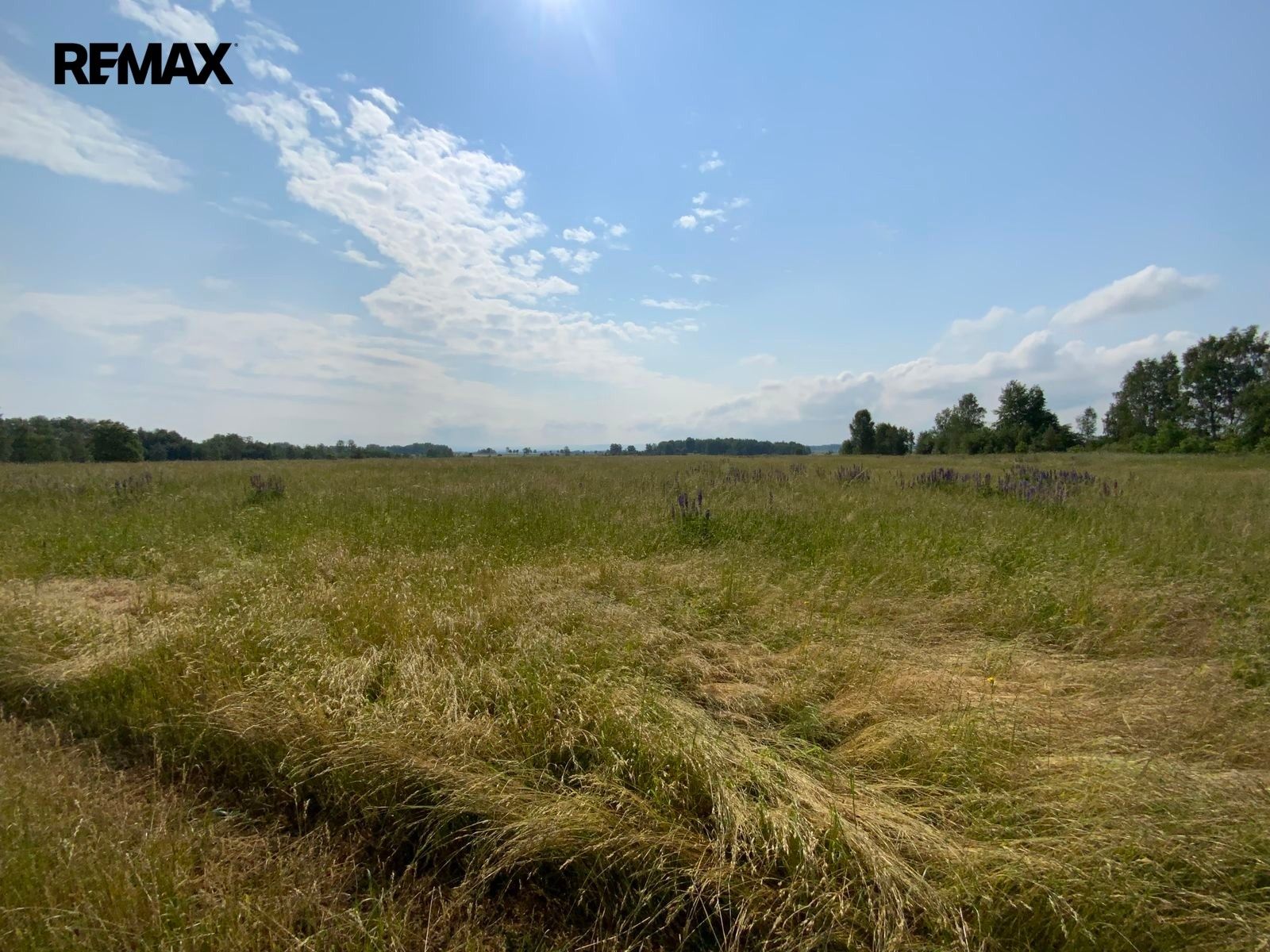 Prodej pozemku 107498 m² - foto 4
