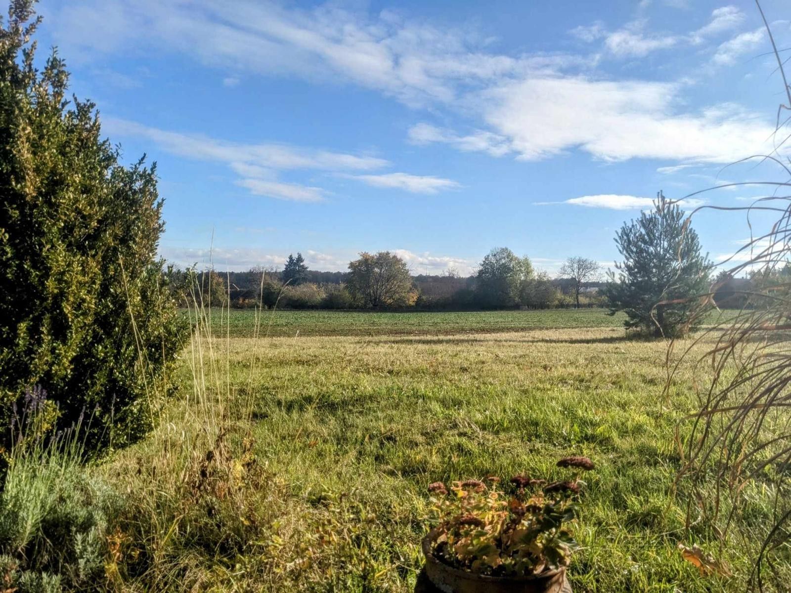 Prodej pozemku 1454 m² - foto 1