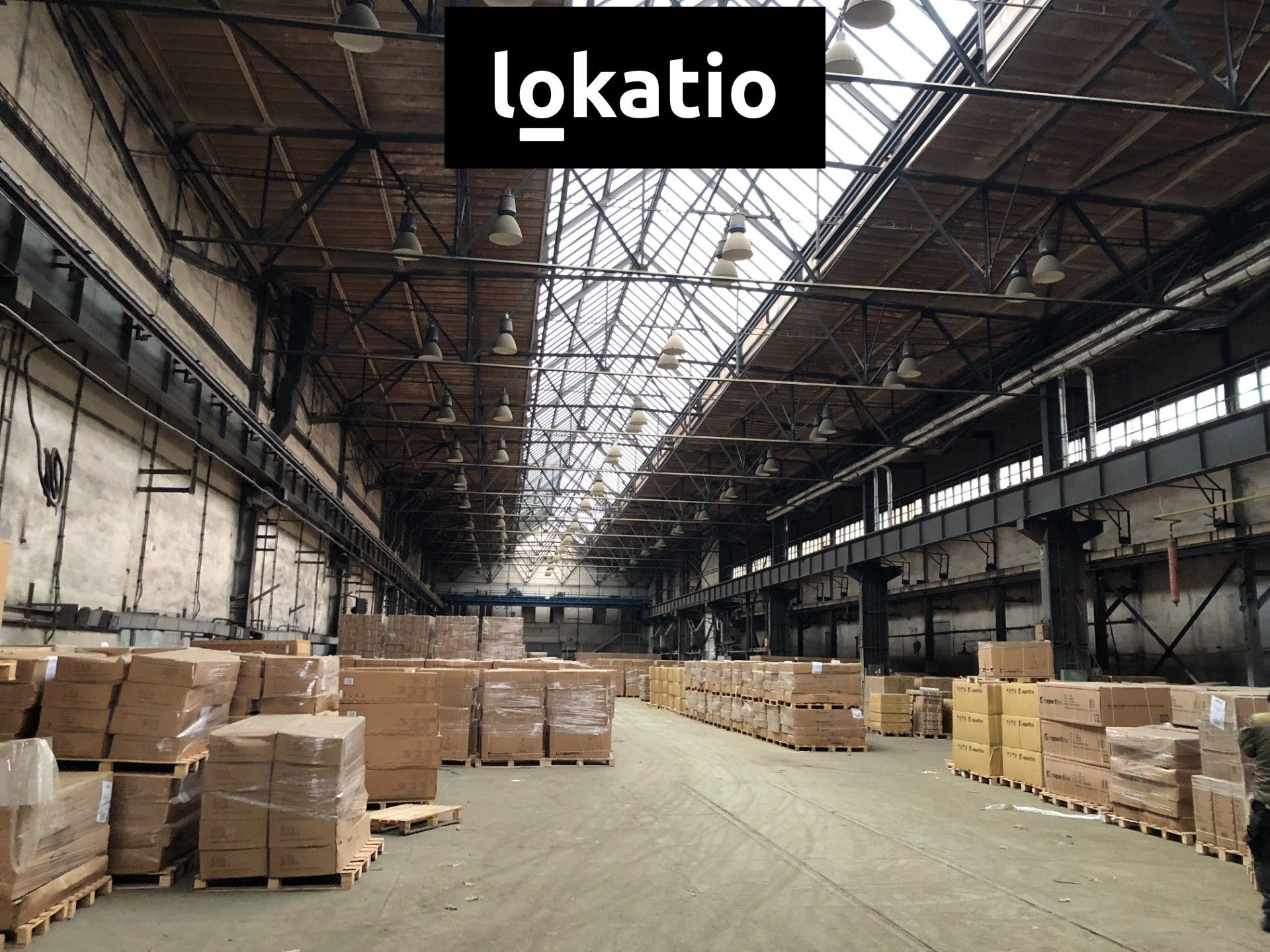 Pronájem komerčního prostoru 5500 m² - foto 6