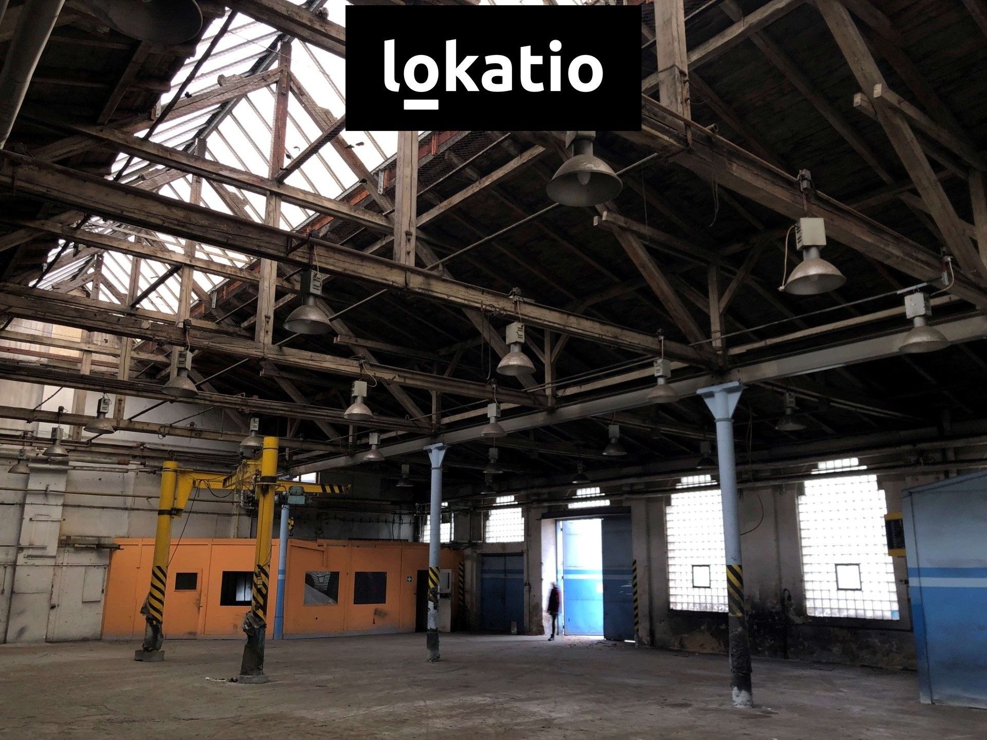 Pronájem komerčního prostoru 5500 m² - foto 5