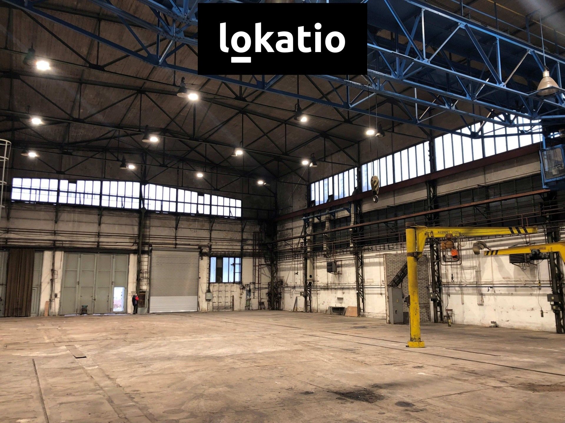 Pronájem komerčního prostoru 5500 m² - foto 3