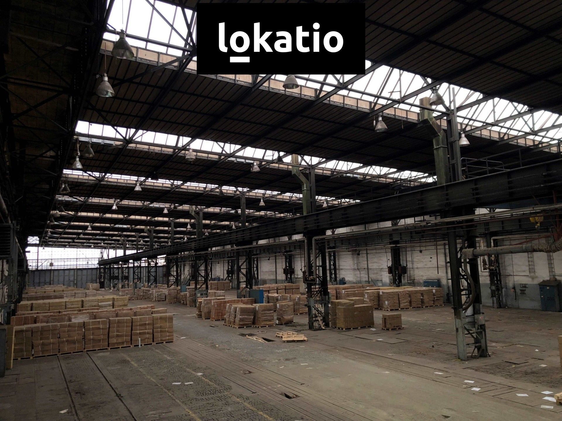 Pronájem komerčního prostoru 5500 m² - foto 9