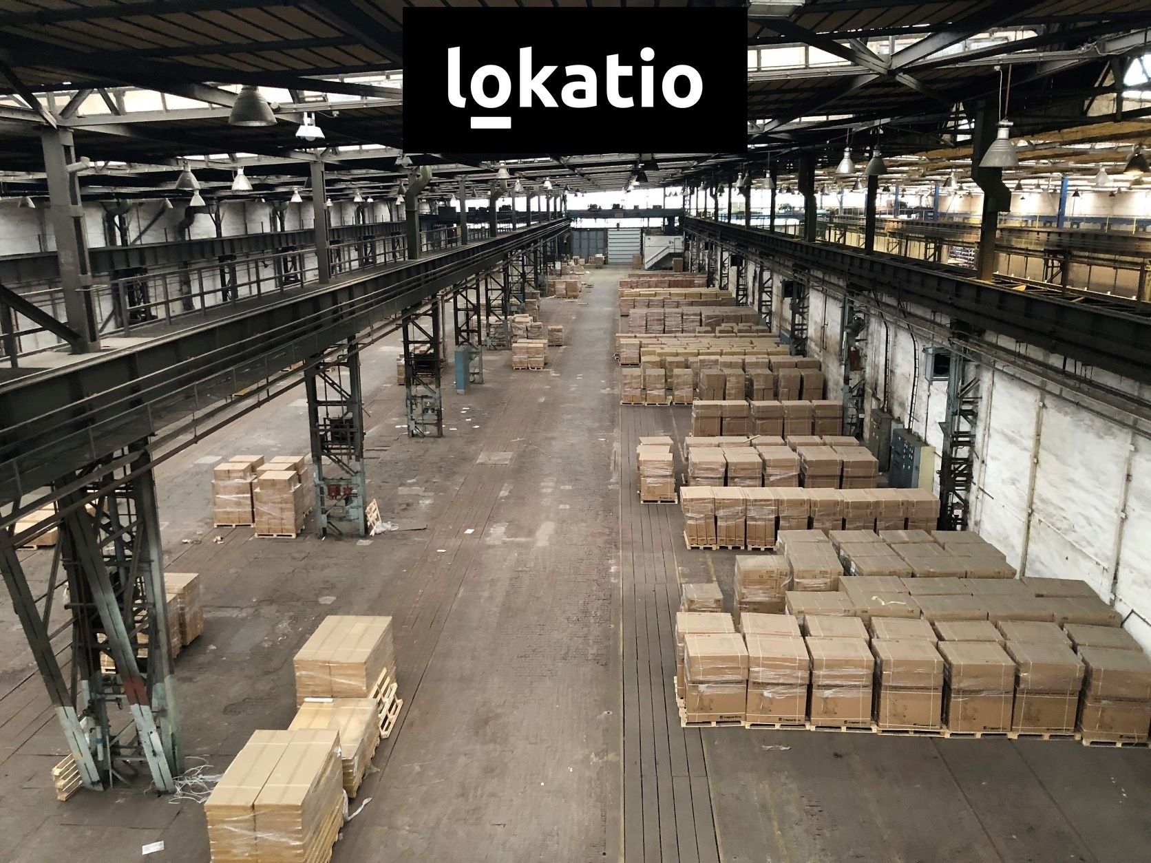 Pronájem komerčního prostoru 5500 m² - foto 10