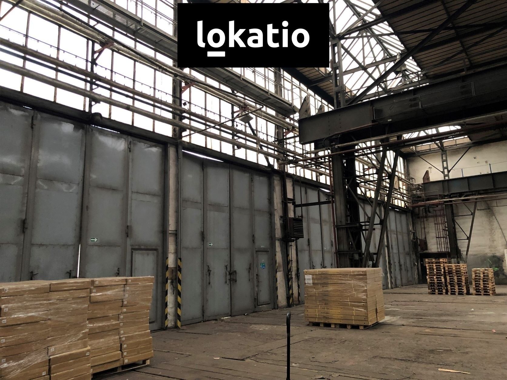 Pronájem komerčního prostoru 5500 m² - foto 11