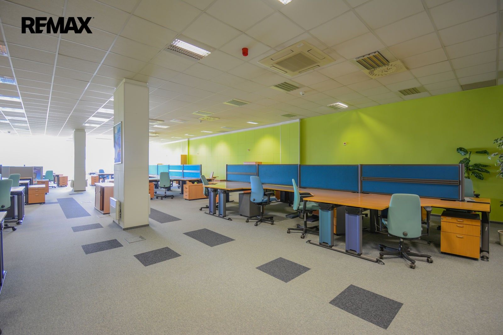 Pronájem komerčního prostoru 321 m² - foto 6