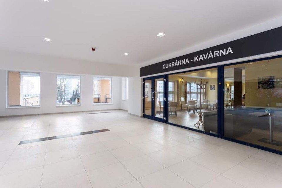 Pronájem komerčního prostoru 100 m² - foto 8
