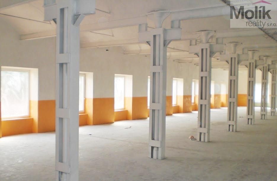 Pronájem komerčního prostoru 250 m² - foto 4
