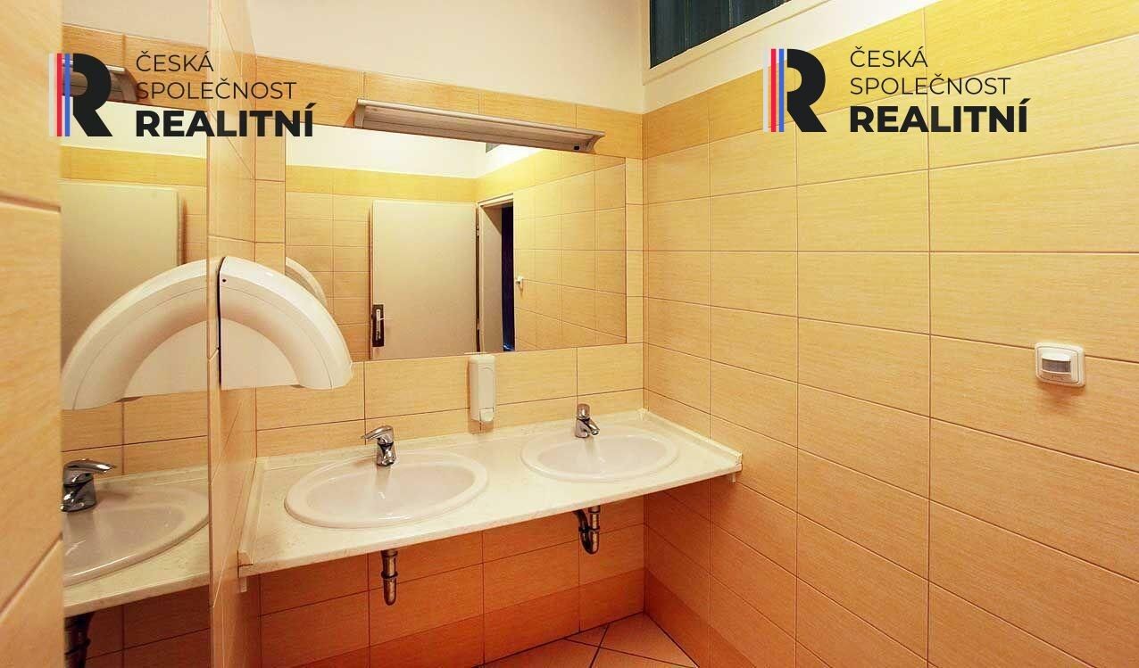 Pronájem komerčního prostoru 29 m² - foto 18