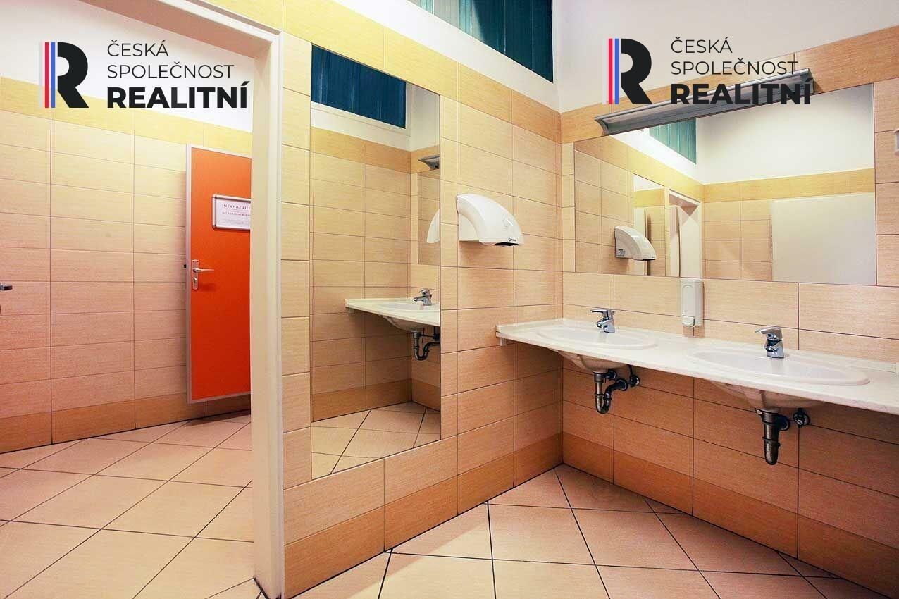 Pronájem komerčního prostoru 29 m² - foto 17