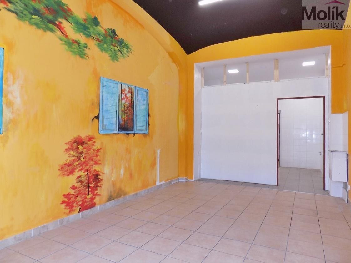 Pronájem komerčního prostoru 68 m² - foto 7