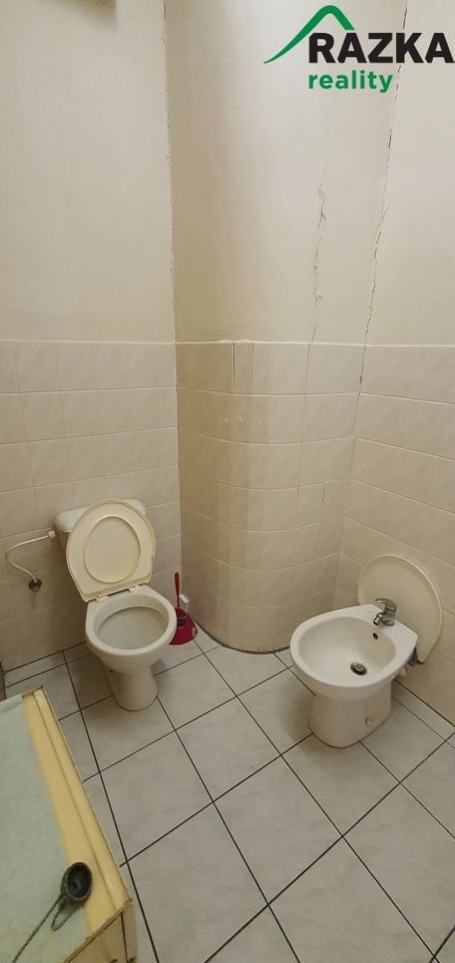 Pronájem komerčního prostoru 54 m² - foto 10