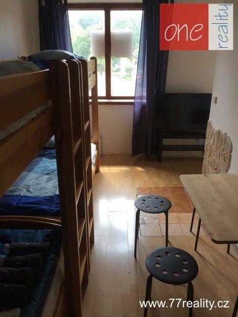 Pronájem bytu 1+kk 35 m² - foto 3