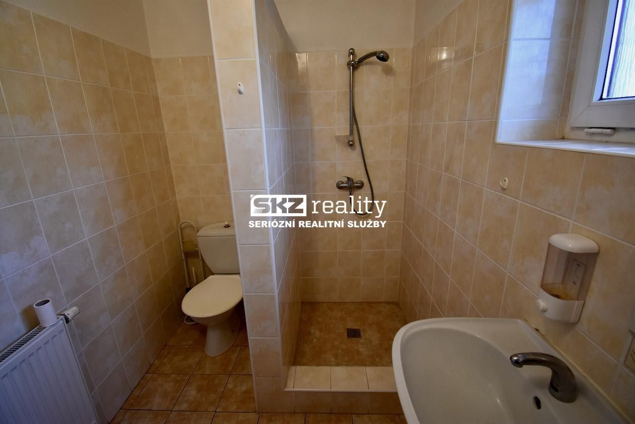 Prodej komerčního prostoru - foto 11